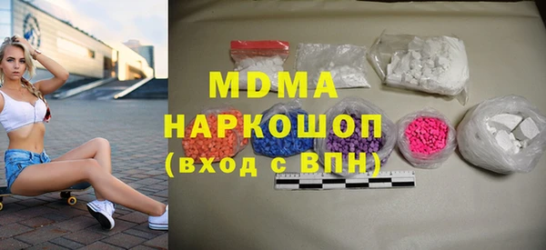 spice Инта