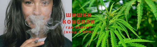 spice Инта