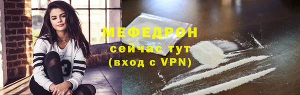 spice Инта