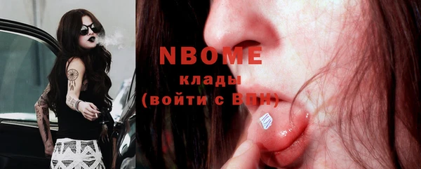 МДПВ Инсар