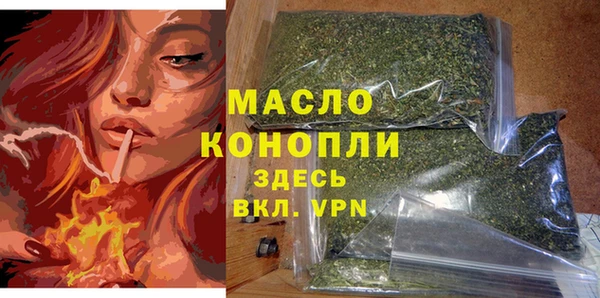 spice Инта