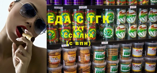 spice Инта
