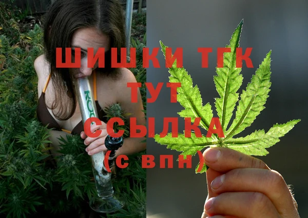 МДПВ Инсар