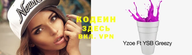 МДПВ Инсар