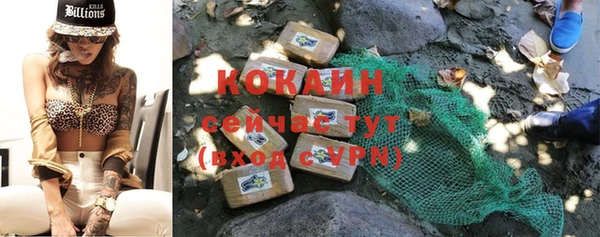 МДПВ Инсар