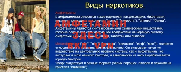 spice Инта