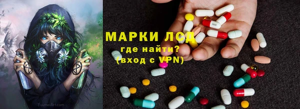 МДПВ Инсар