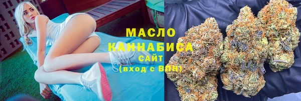 МДПВ Инсар
