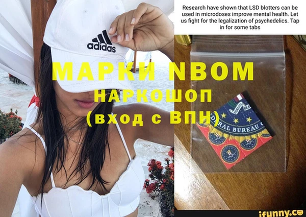 spice Инта