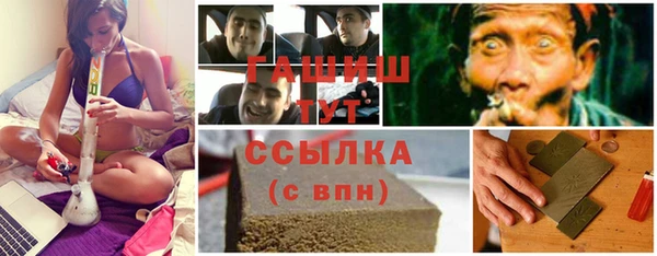 spice Инта