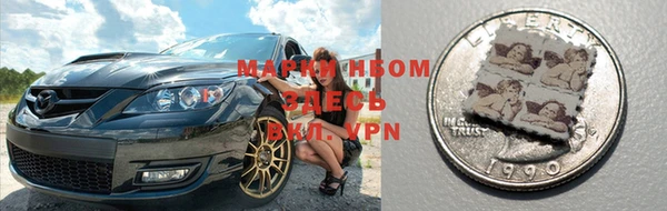 spice Инта