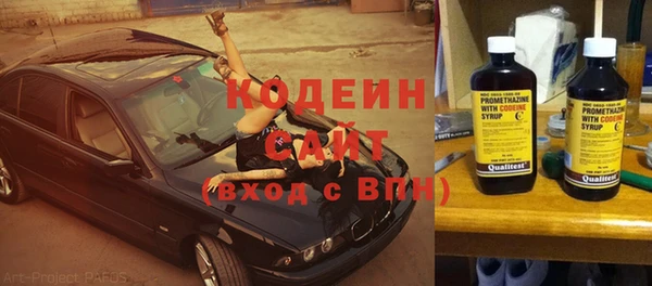 МДПВ Инсар