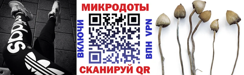 кракен зеркало  Ленинск-Кузнецкий  Галлюциногенные грибы ЛСД 